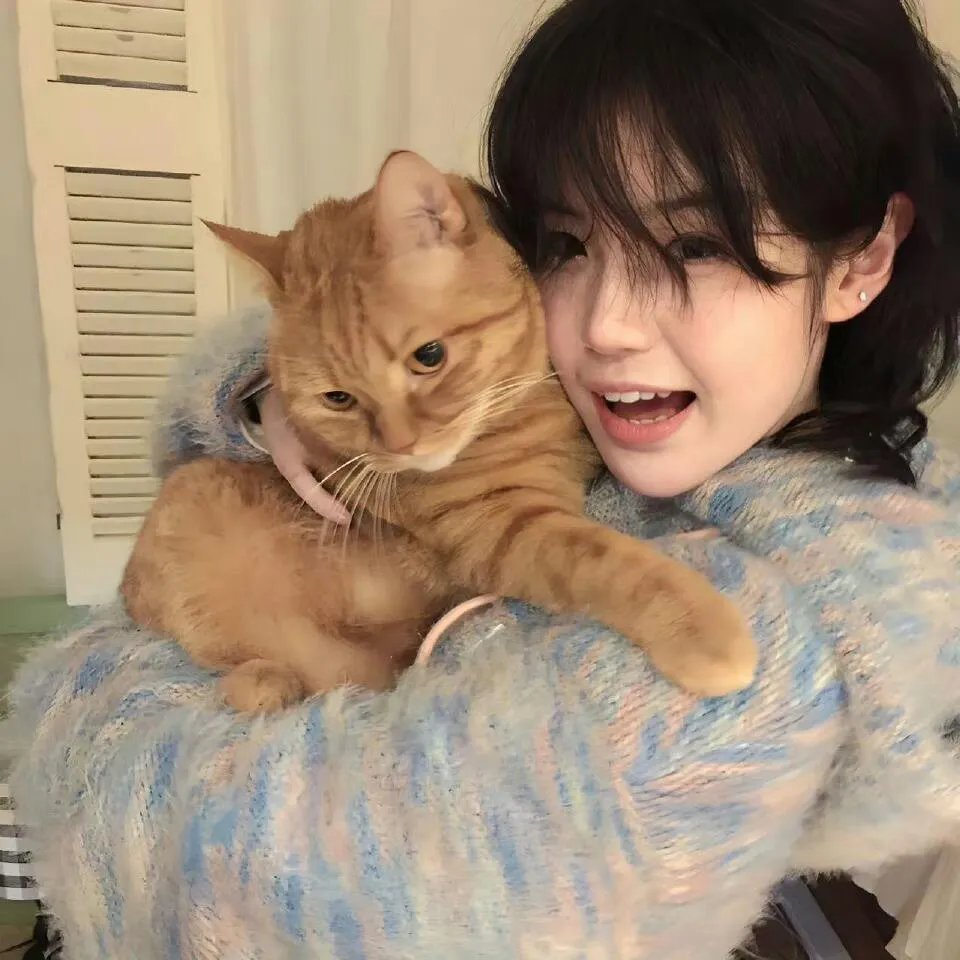 猫狗大战2